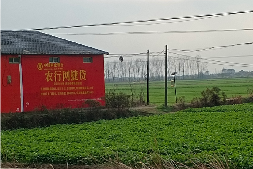 仙居如何防止墙体广告褪色呢？