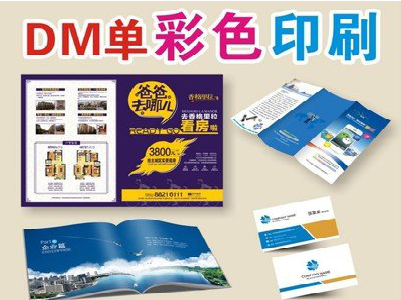 仙居单页印刷，色彩搭配简单。